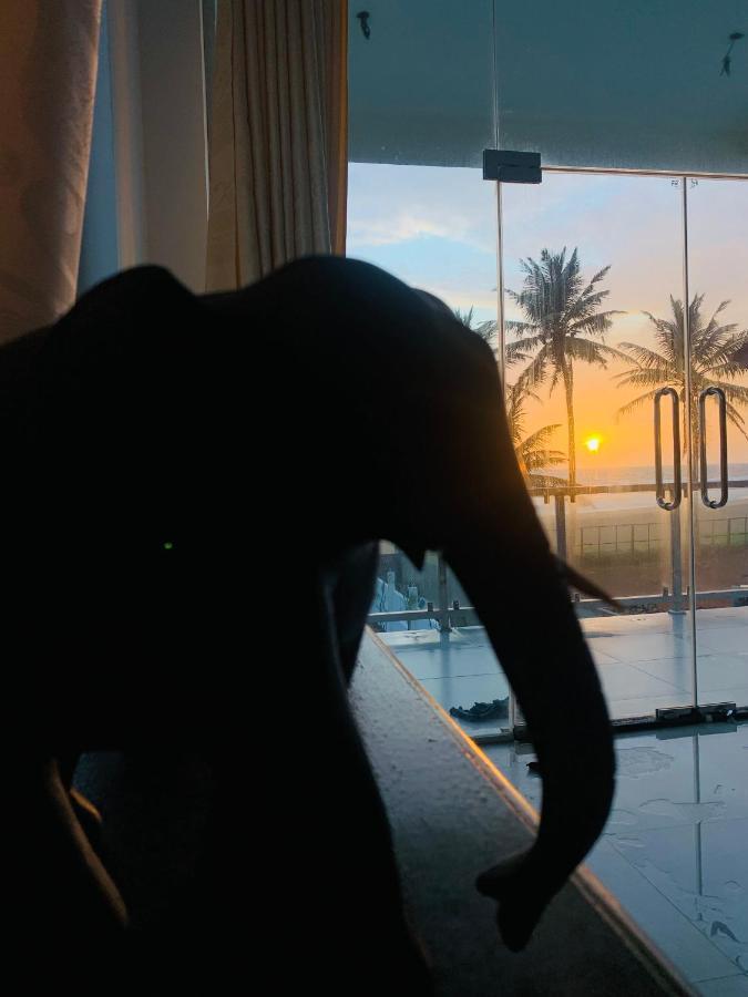 Kavin Beach Hotel Hikkaduwa Eksteriør billede