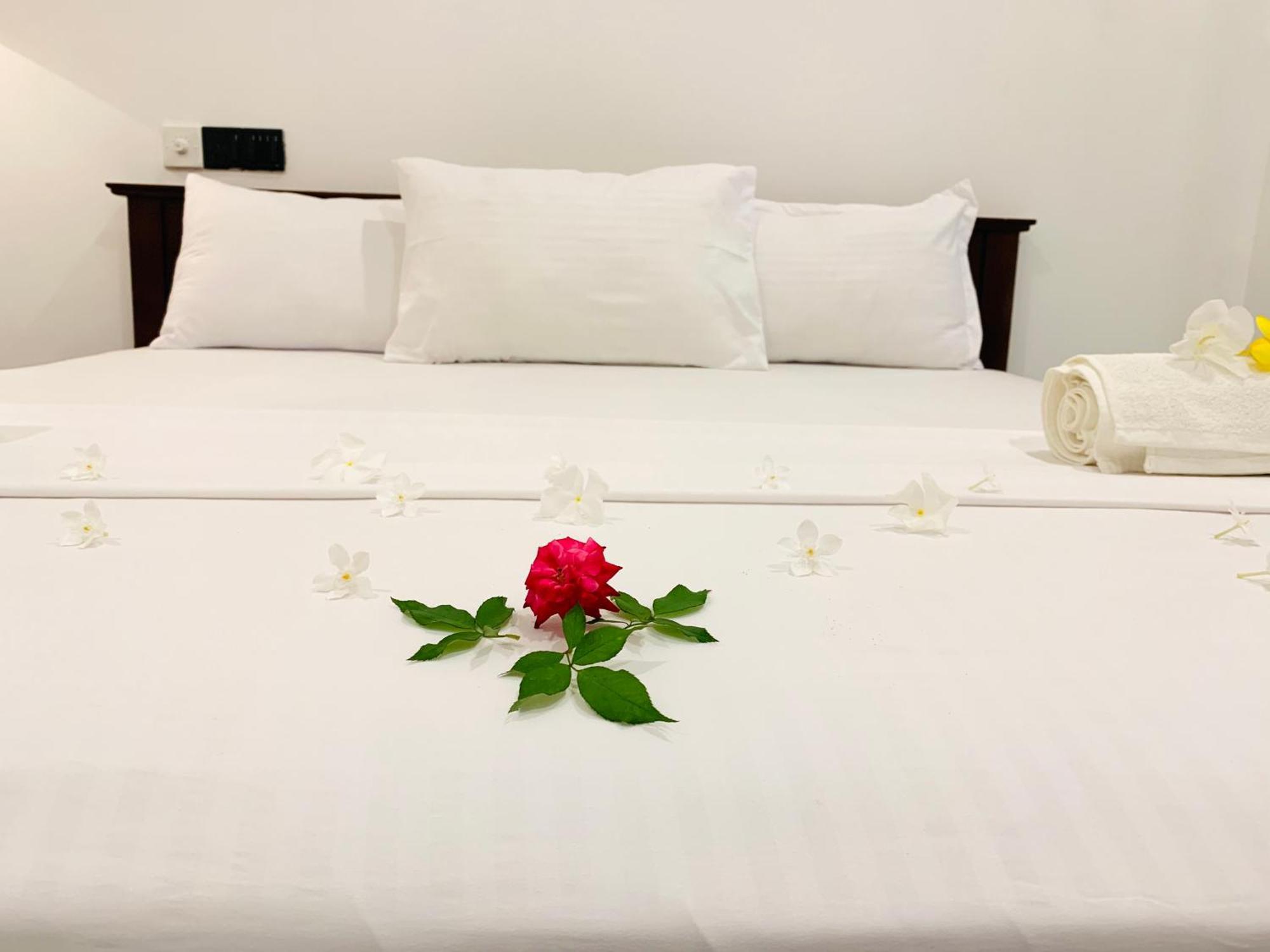 Kavin Beach Hotel Hikkaduwa Eksteriør billede